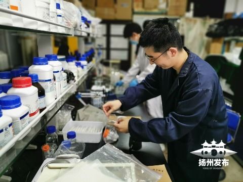 綠色科技新突破 揚州大學研發環保生物藥劑，為植物健康保駕護航